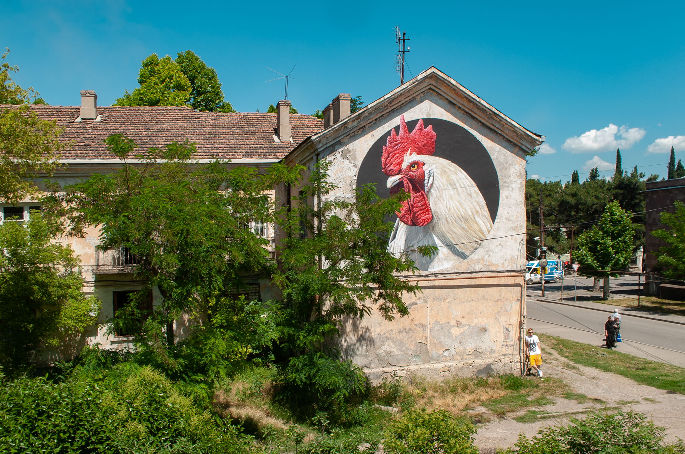 Rooster - Matthias Mross
