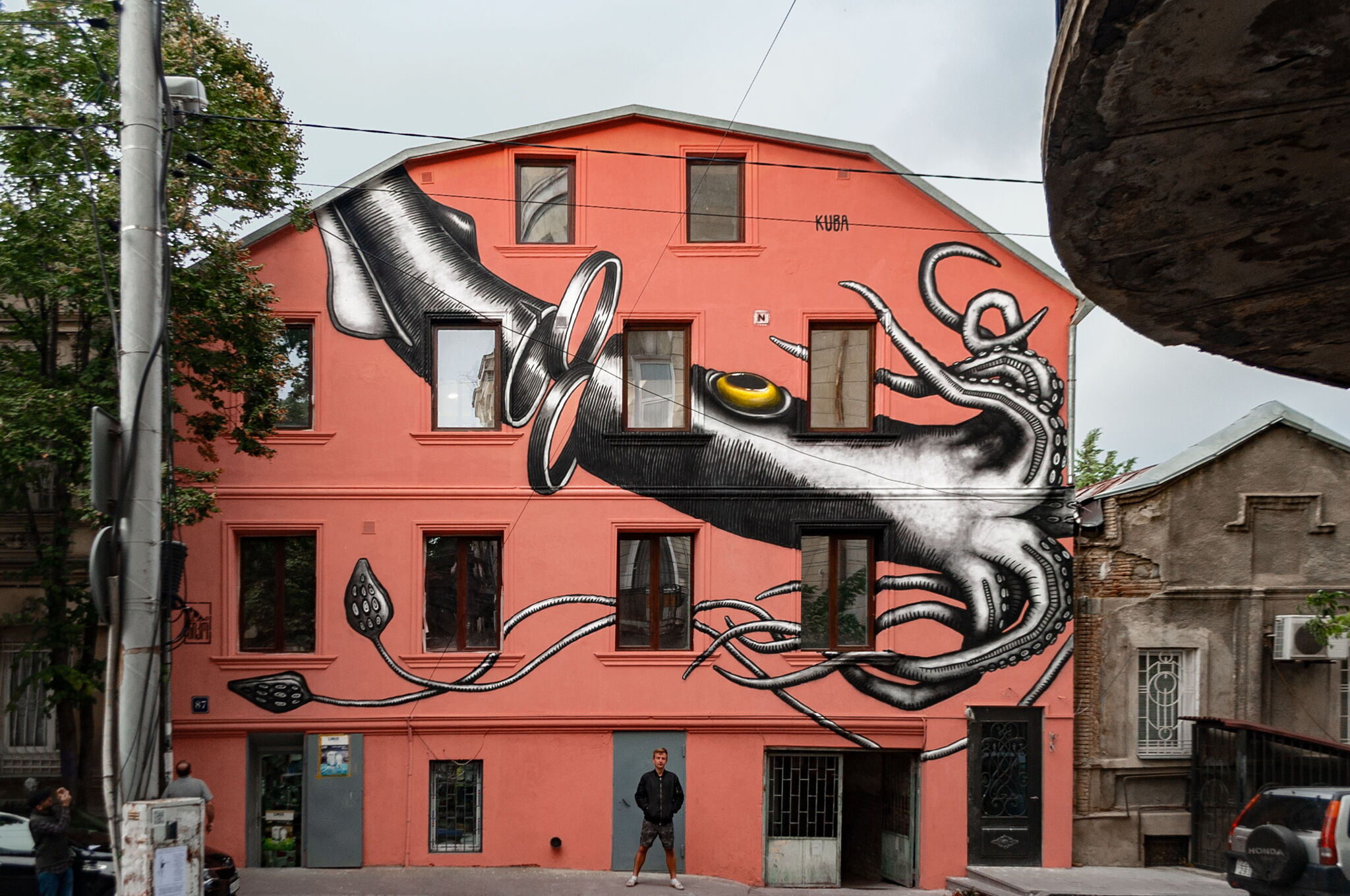 Squid - Kuba