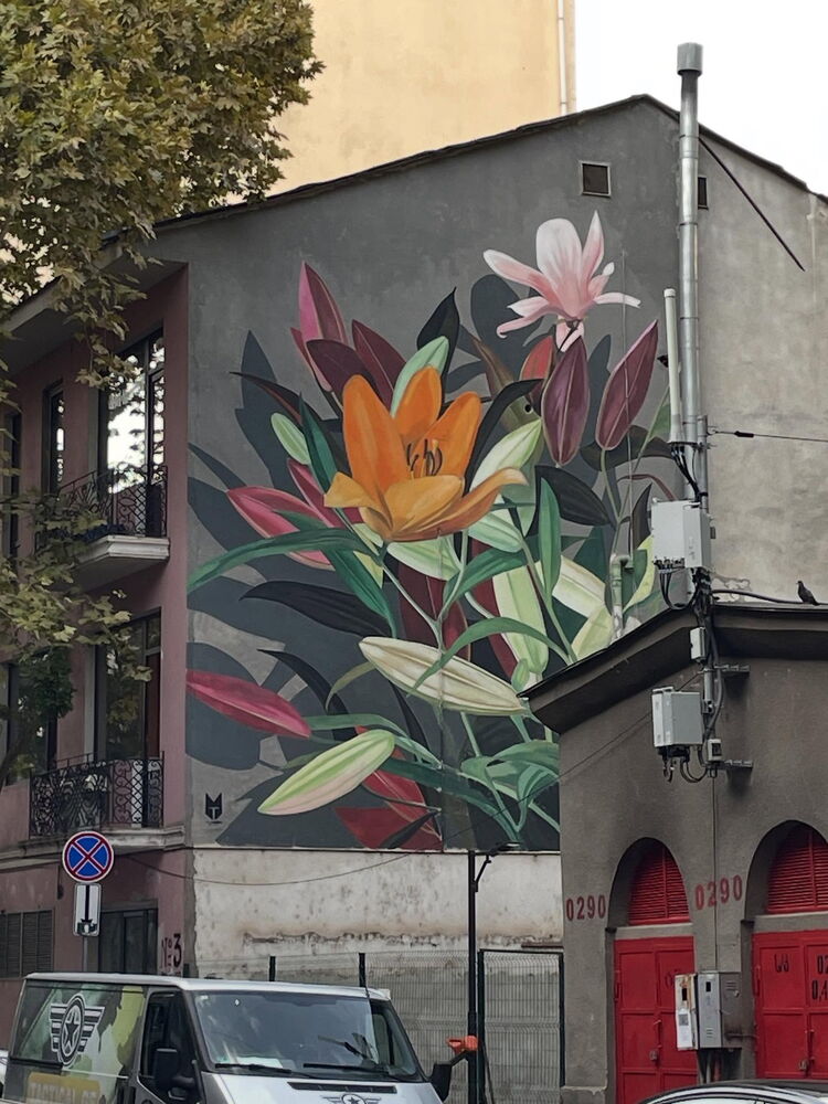 © Tbilisi Mural Fest