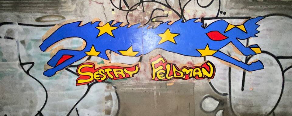 Horse of Europe