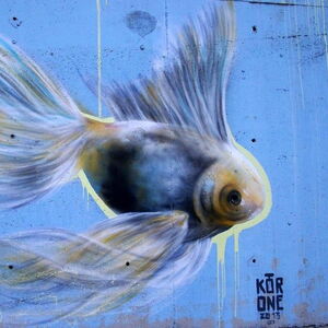 Blue Fish - Kor One