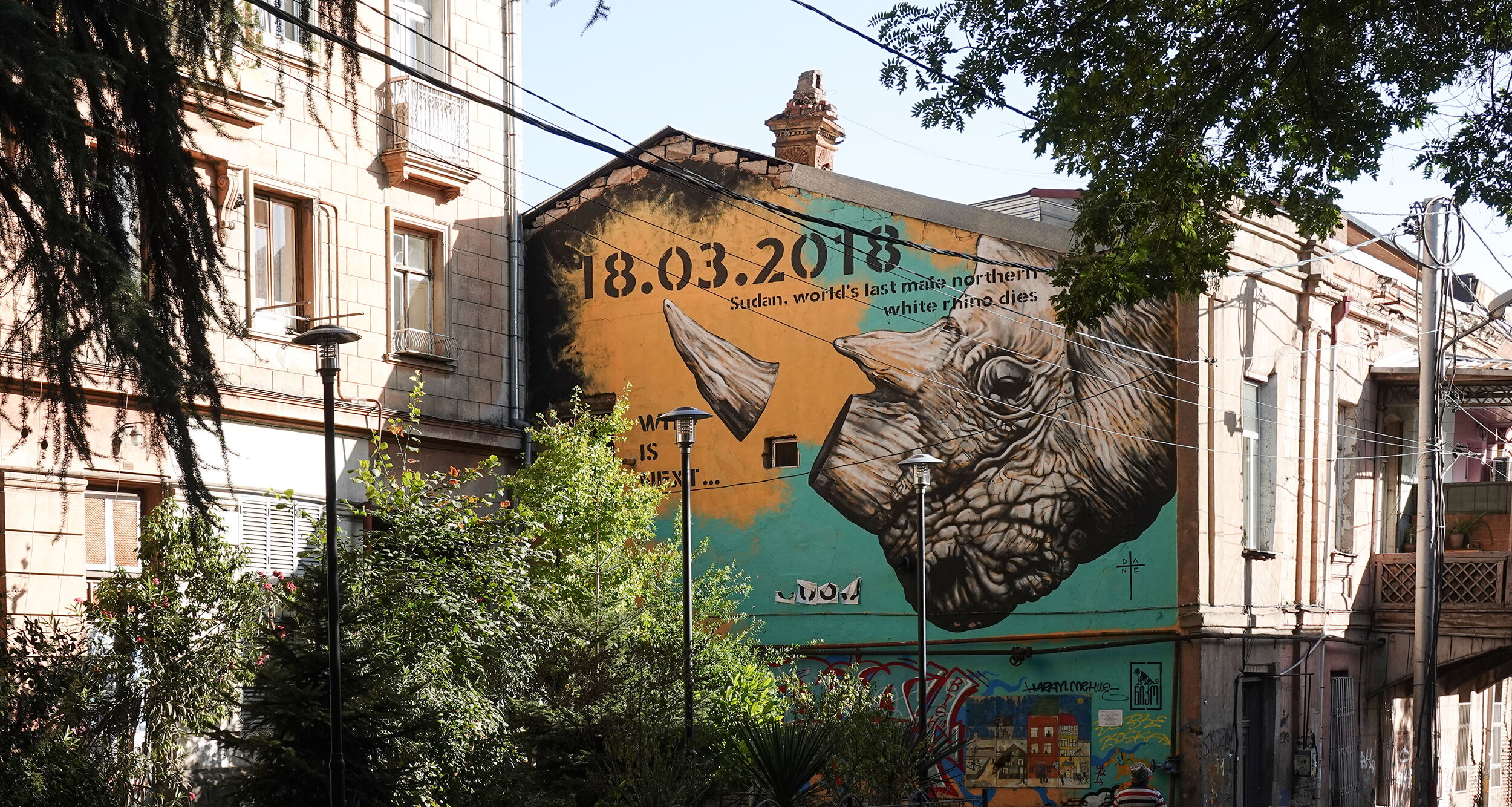 Rhino - Dante
