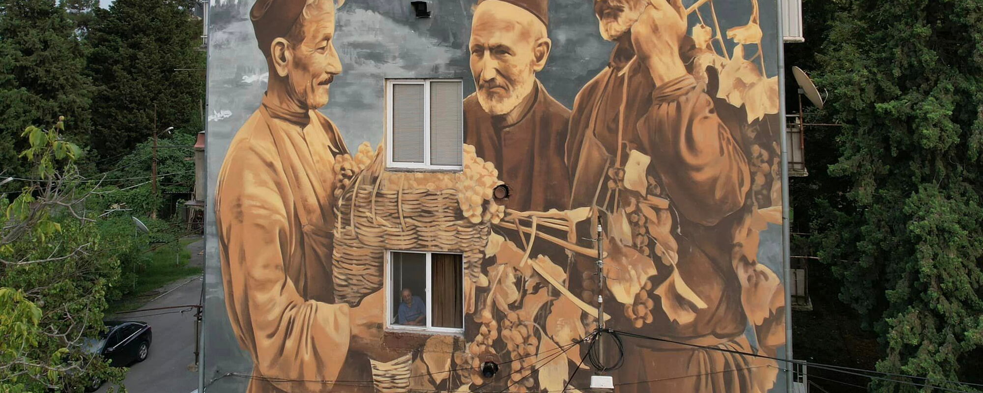 Harvest - Afzan Pirzade