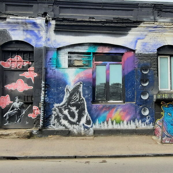 11 27-tbilisi-chugureti-georgian-street-art-federation-kt-104100-portrait