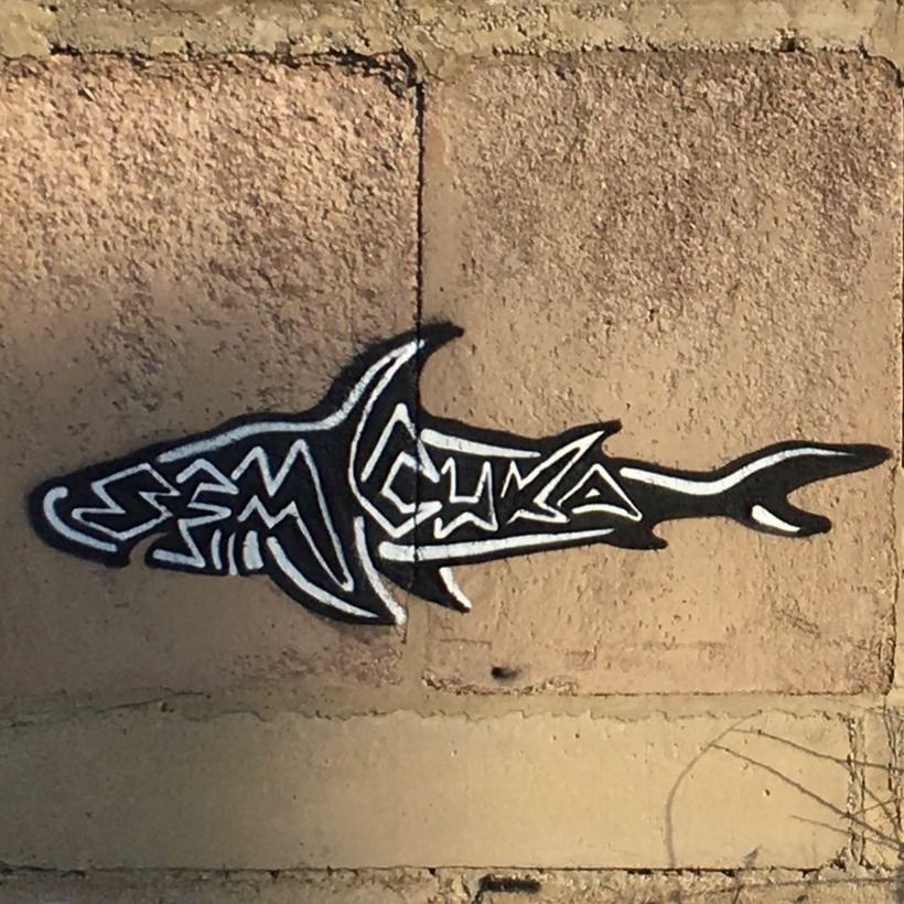 Shark