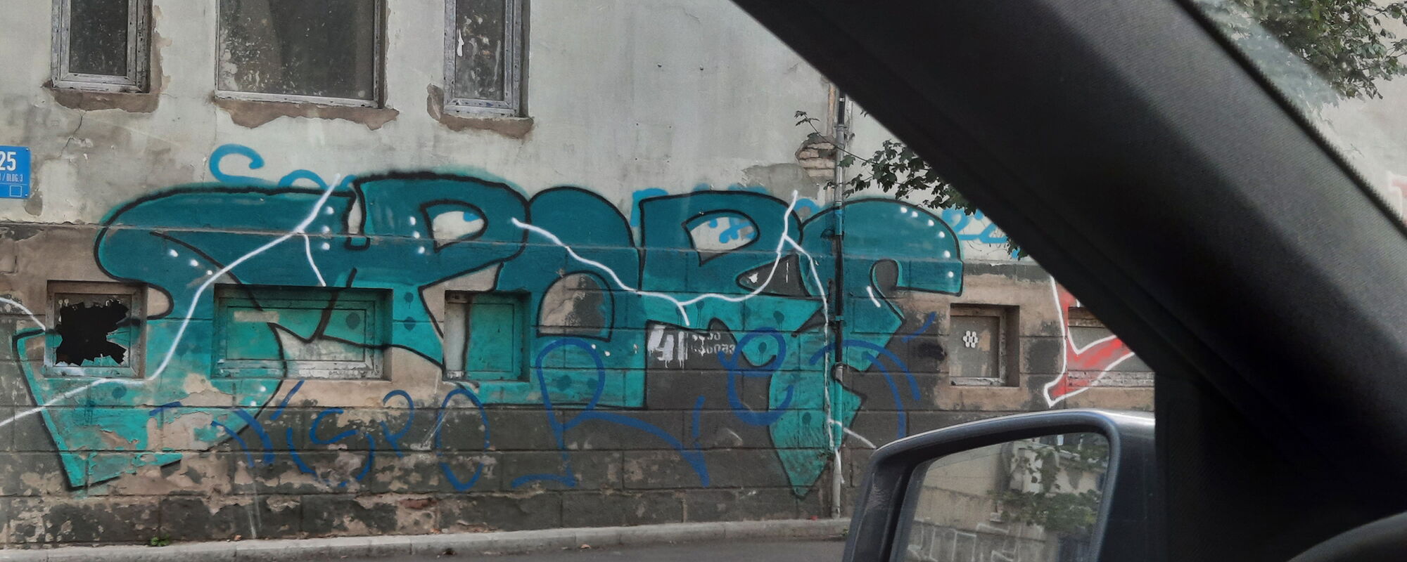 Spore