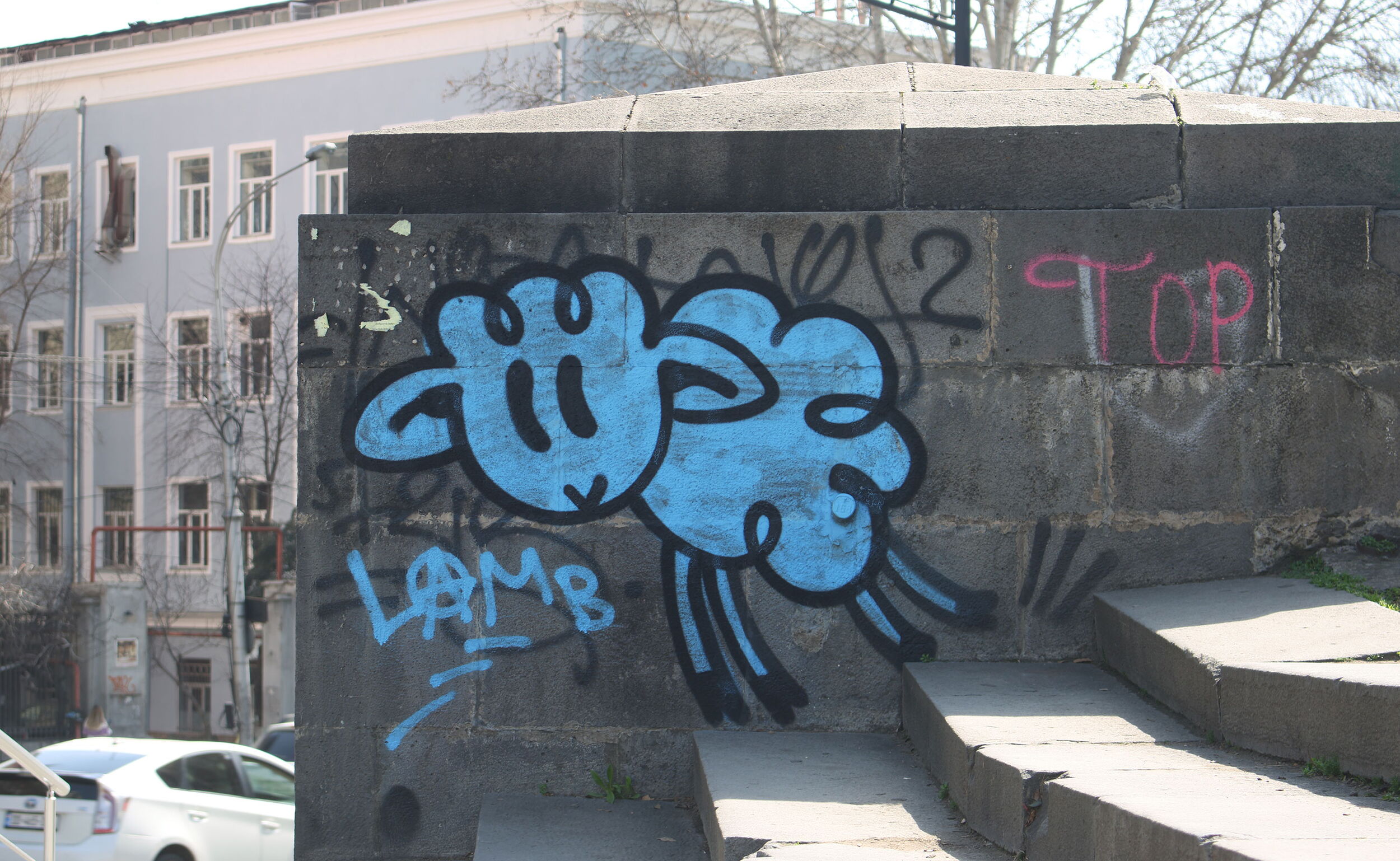 Blue Lamb - Lamb