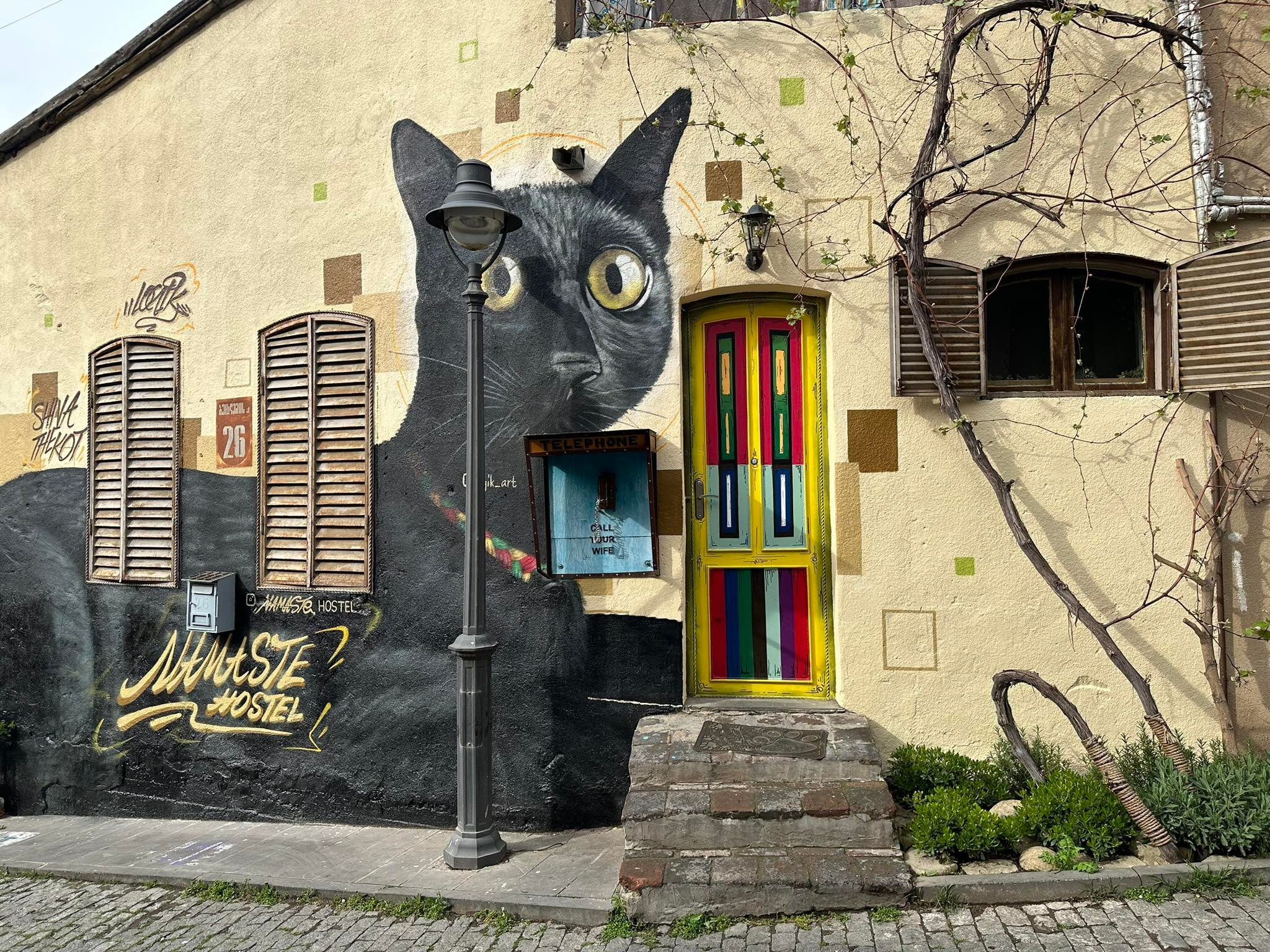 Shiva the Cat - Logic Art