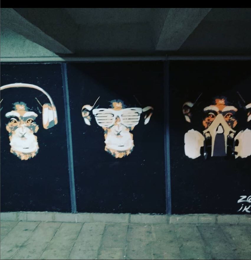 Monkeys - Kade