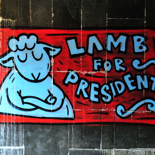 © Lamb