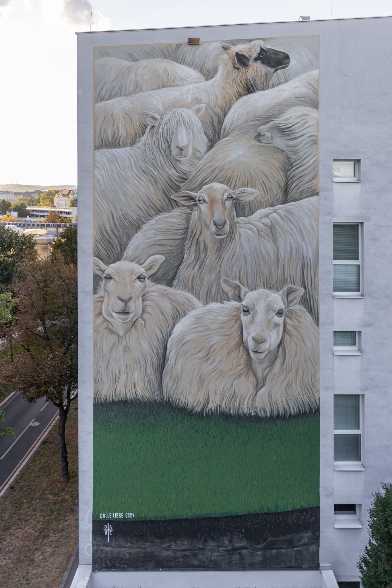 Sheep - Dante