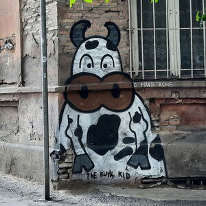 2024-tbilisi-sololaki-the-kuhl-kid-kt-165700-portrait-2.jpg