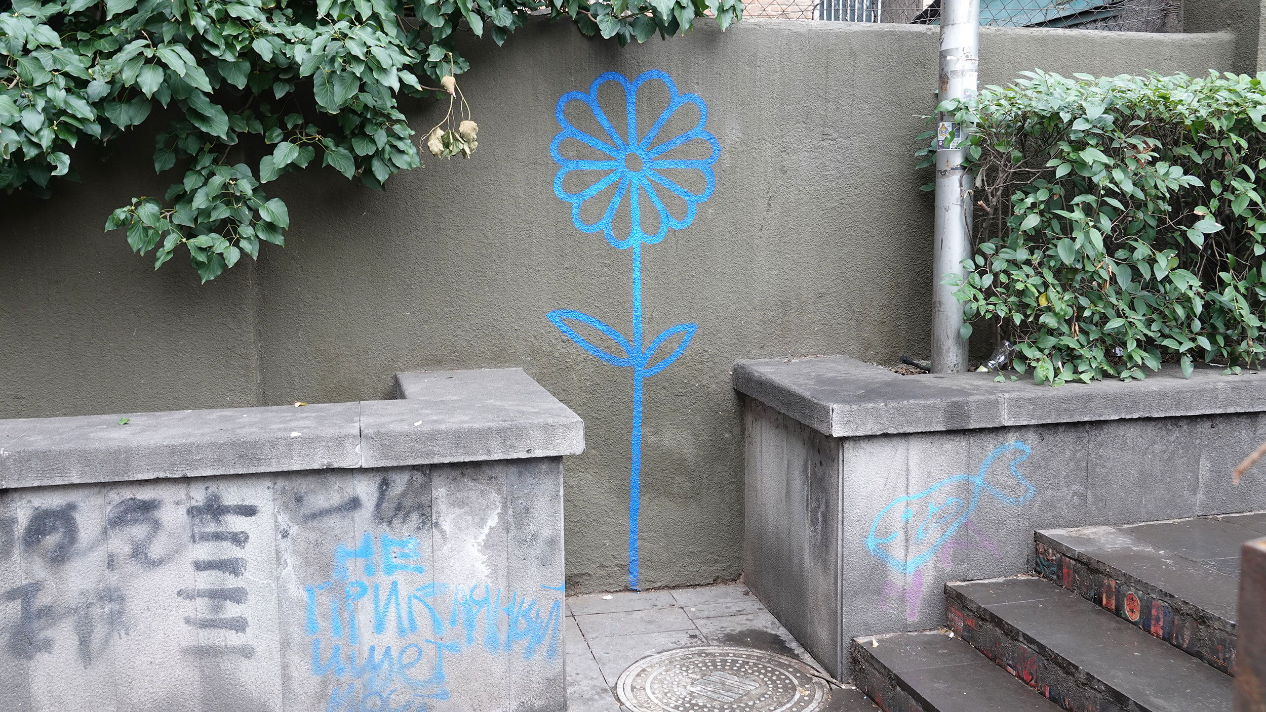 Flower - Blue Pencil