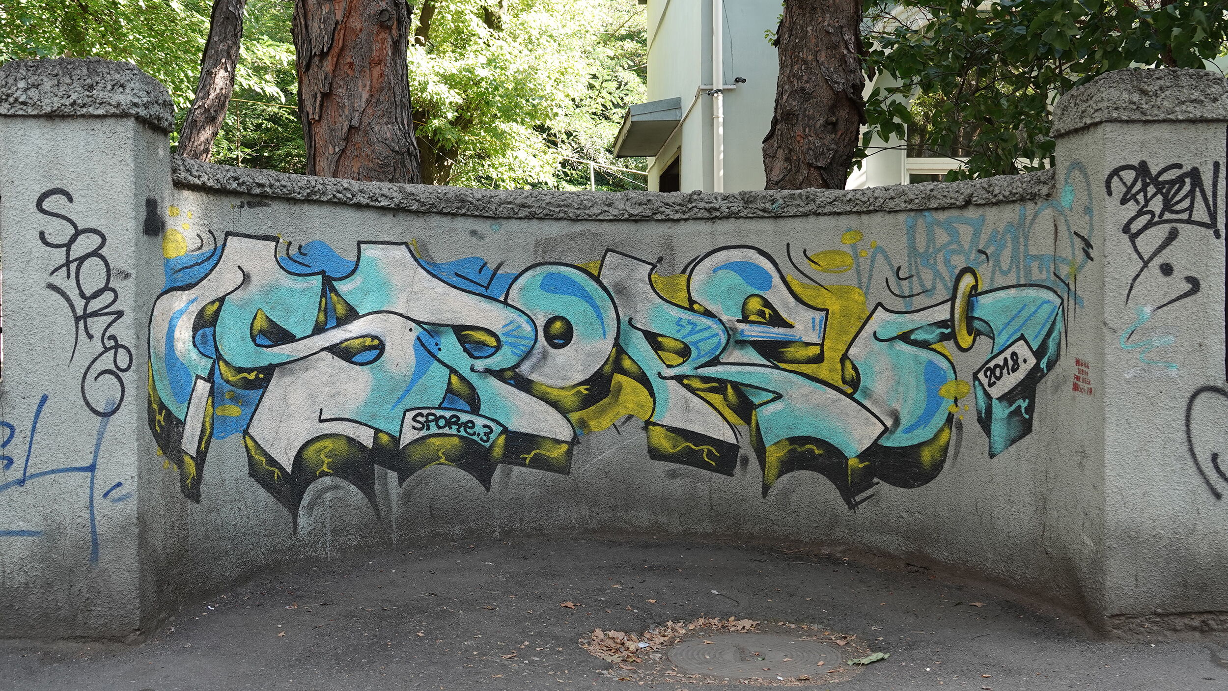 Spore