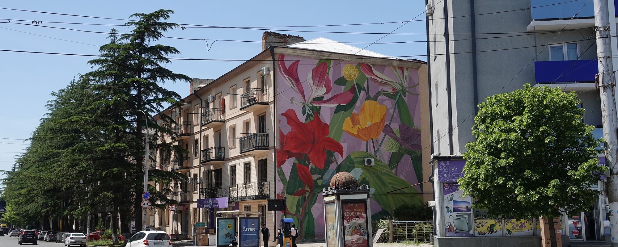 Flowers - Mazza