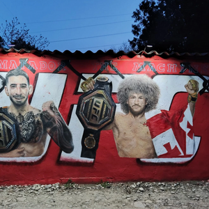 2025_04_25-tbilisi-varketili-124-near-the-school-giorgian-champions-giorgi-gigauri.png