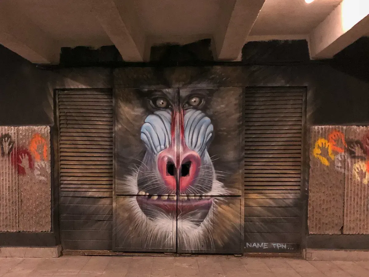 Mandrill - Name / TPN Crew