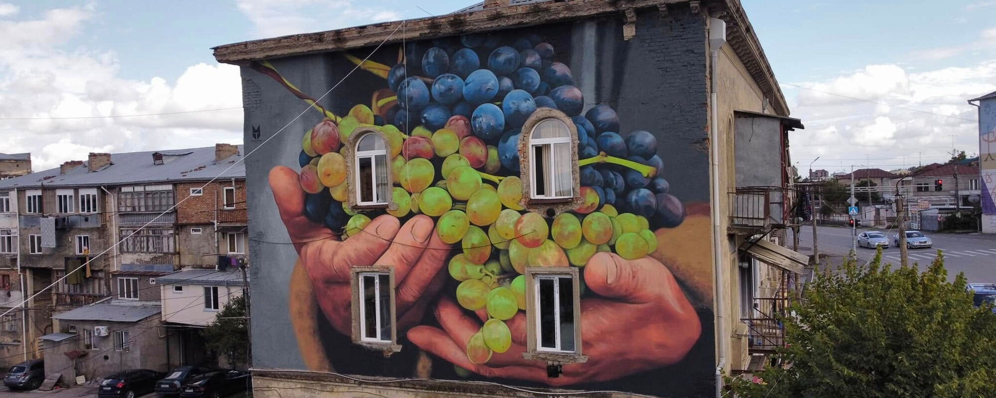 Grapes - TMF Studio